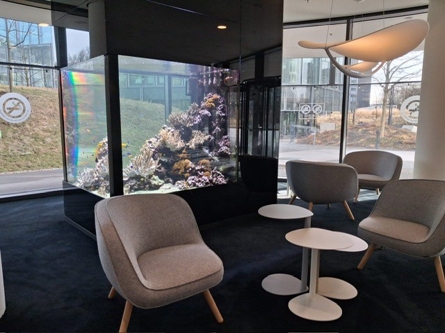 Meerwasseraquarium Büro München Wartebereich